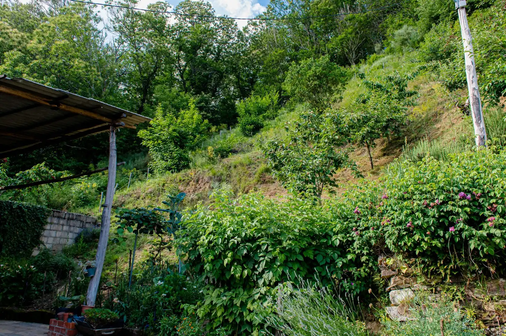 Jardín de Casa o chalet en venta en Vega de Valcarce con Calefacción, Jardín privado y Terraza