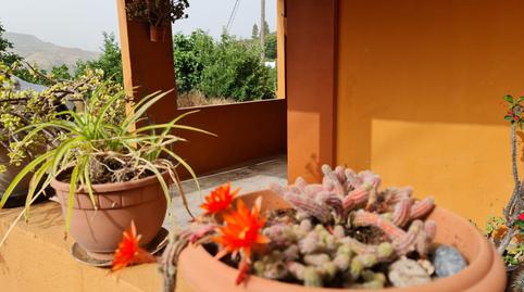 Photo 4 of Country house for sale in Vega de San Mateo, Las Palmas