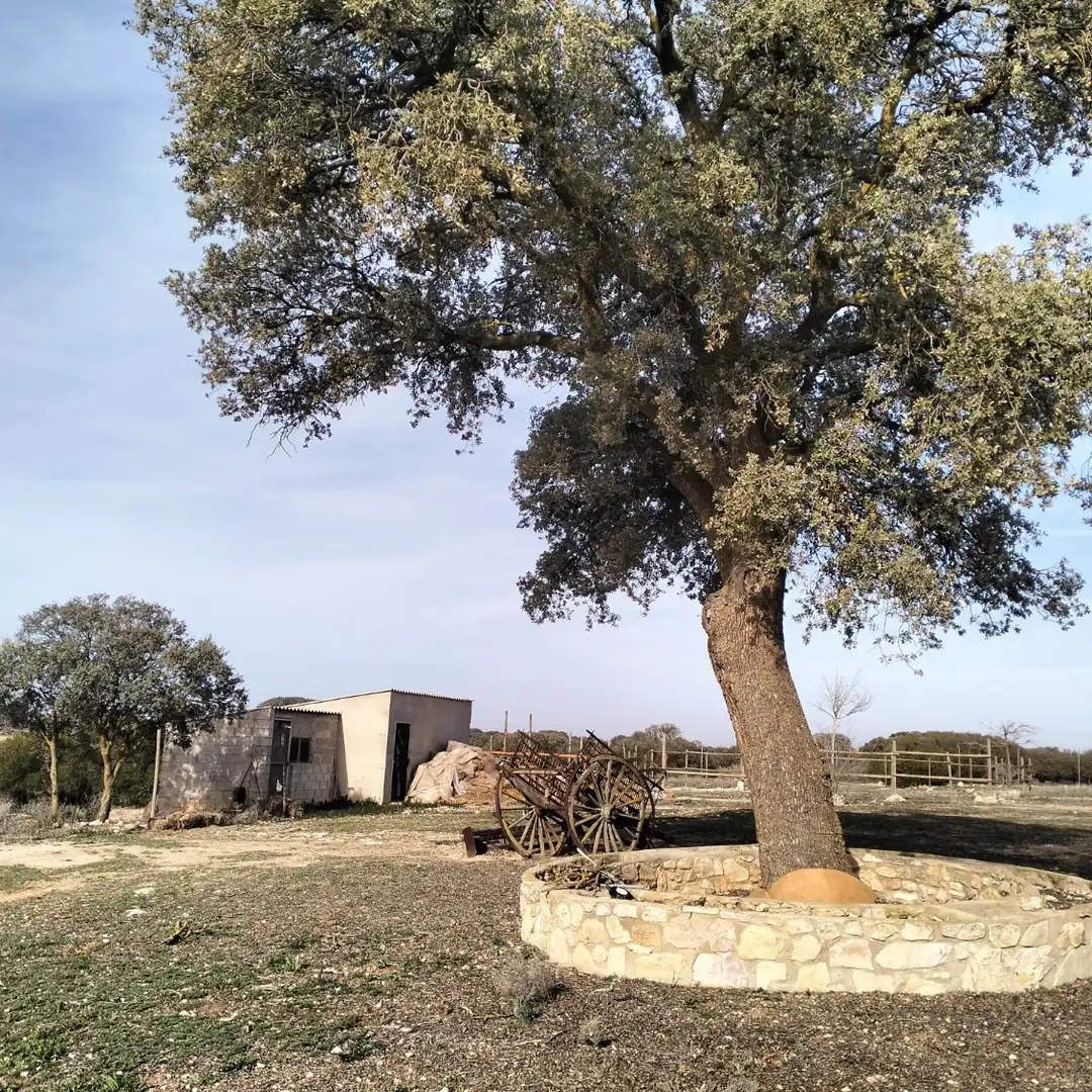 Terreni e lotti in vendita a Munera, imagen 28