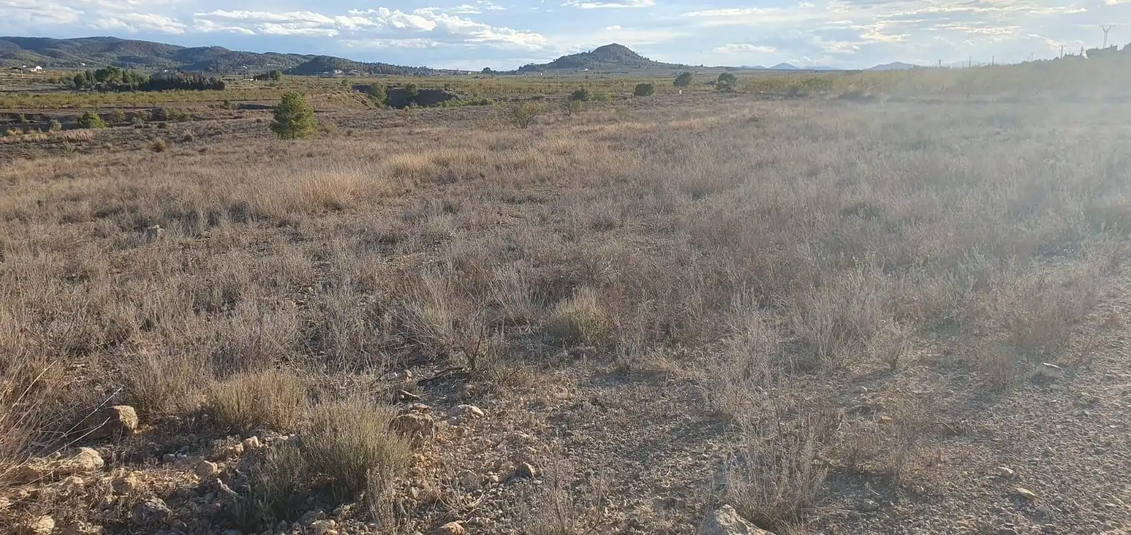 Grundstücke und Bauplätze zum Verkauf in Ricote, imagen 6