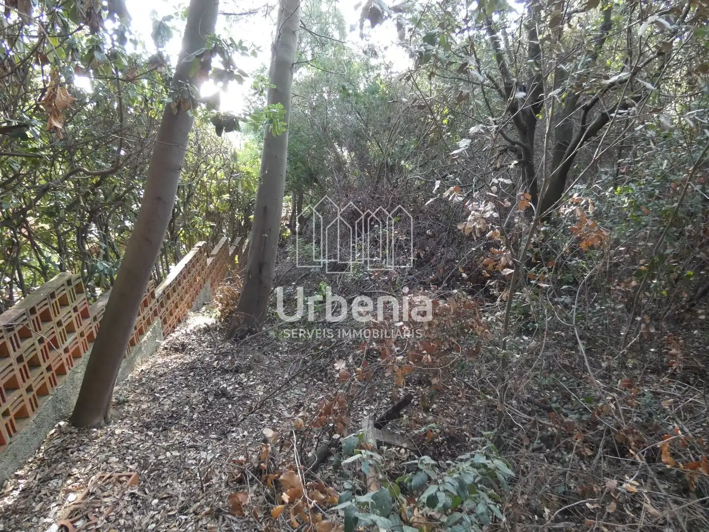 Terrain rustique à vendre à Can Massuet del Far, imagen 9