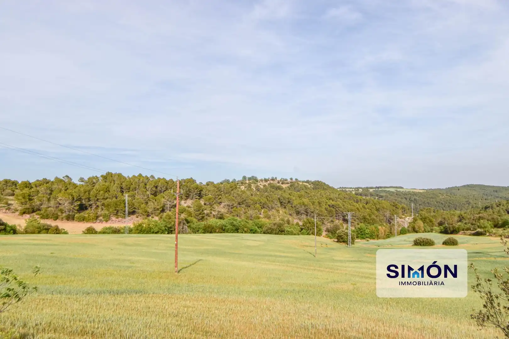 Finca rústica en venta en Veciana