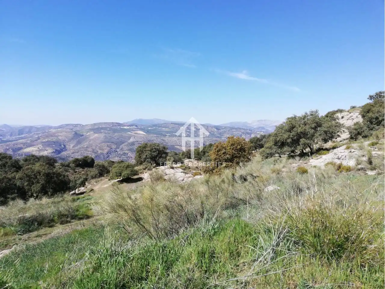 Finca rústica en venta en Zagra