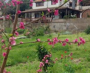 Jardí de Casa o xalet en venda en Los Realejos amb Aire condicionat, Calefacció i Jardí privat