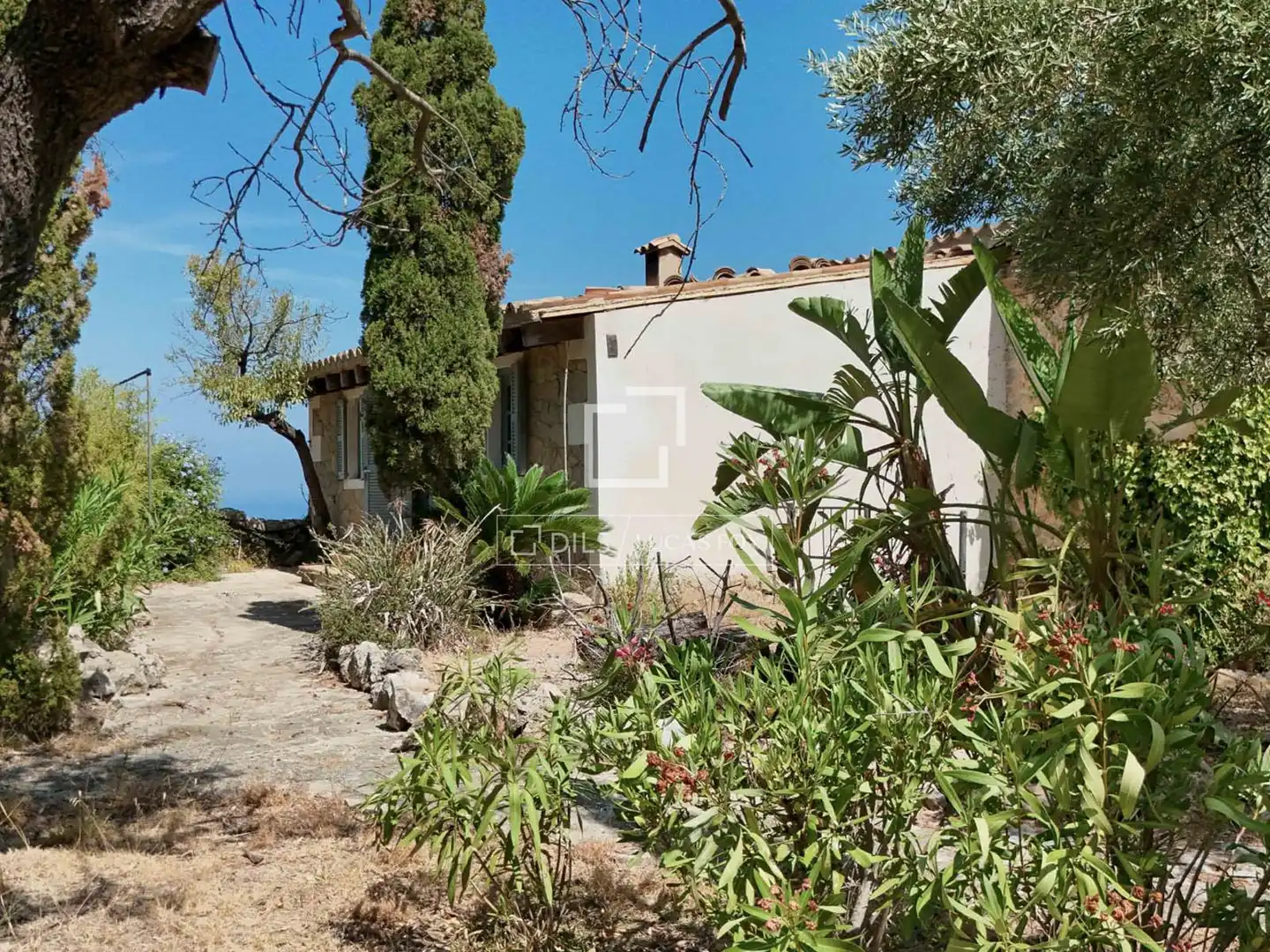 Jardín de Finca rústica en venta en Banyalbufar con Jardín privado y Piscina