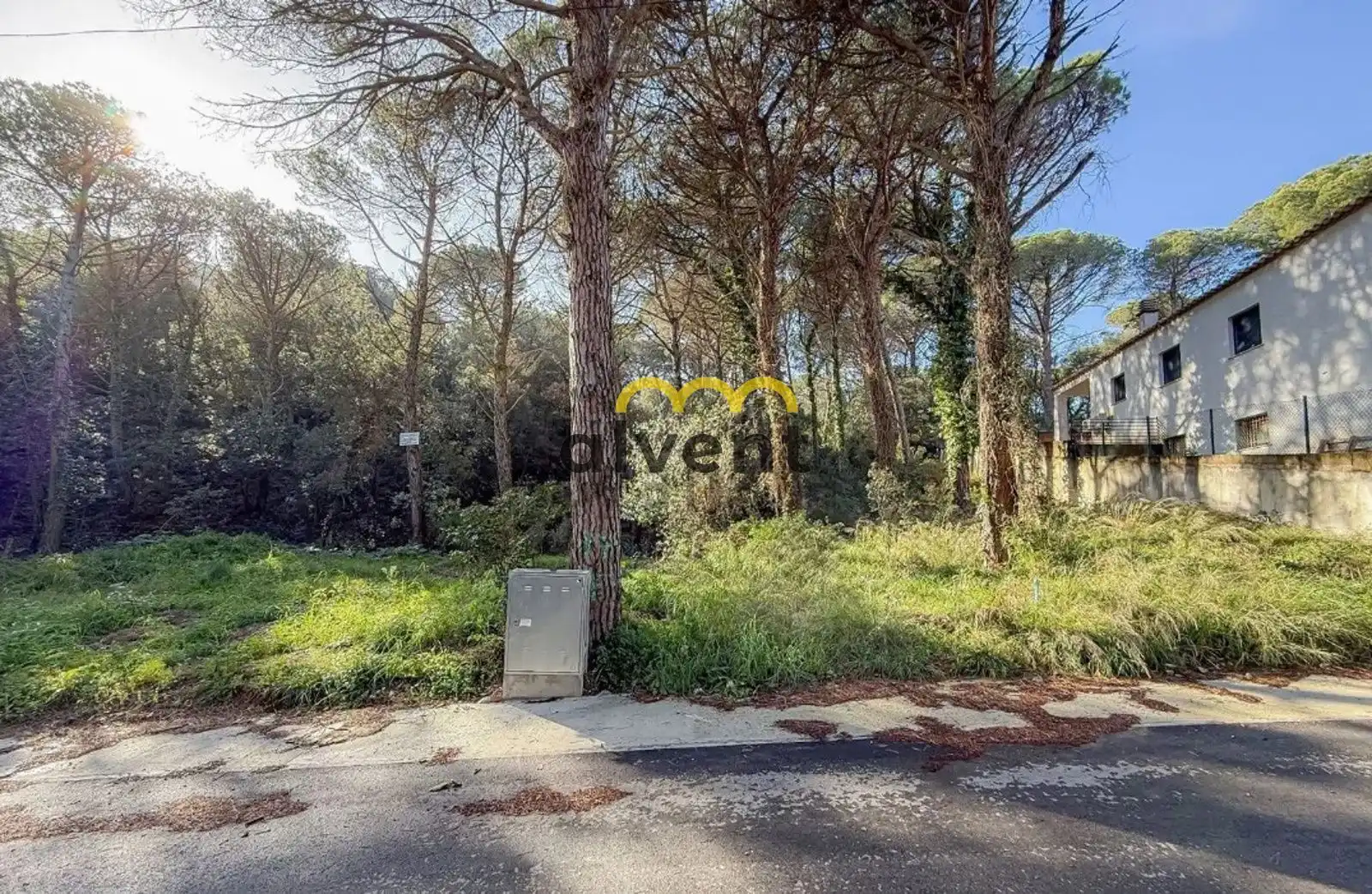 Rural land for sale in Manxa, imagen 15