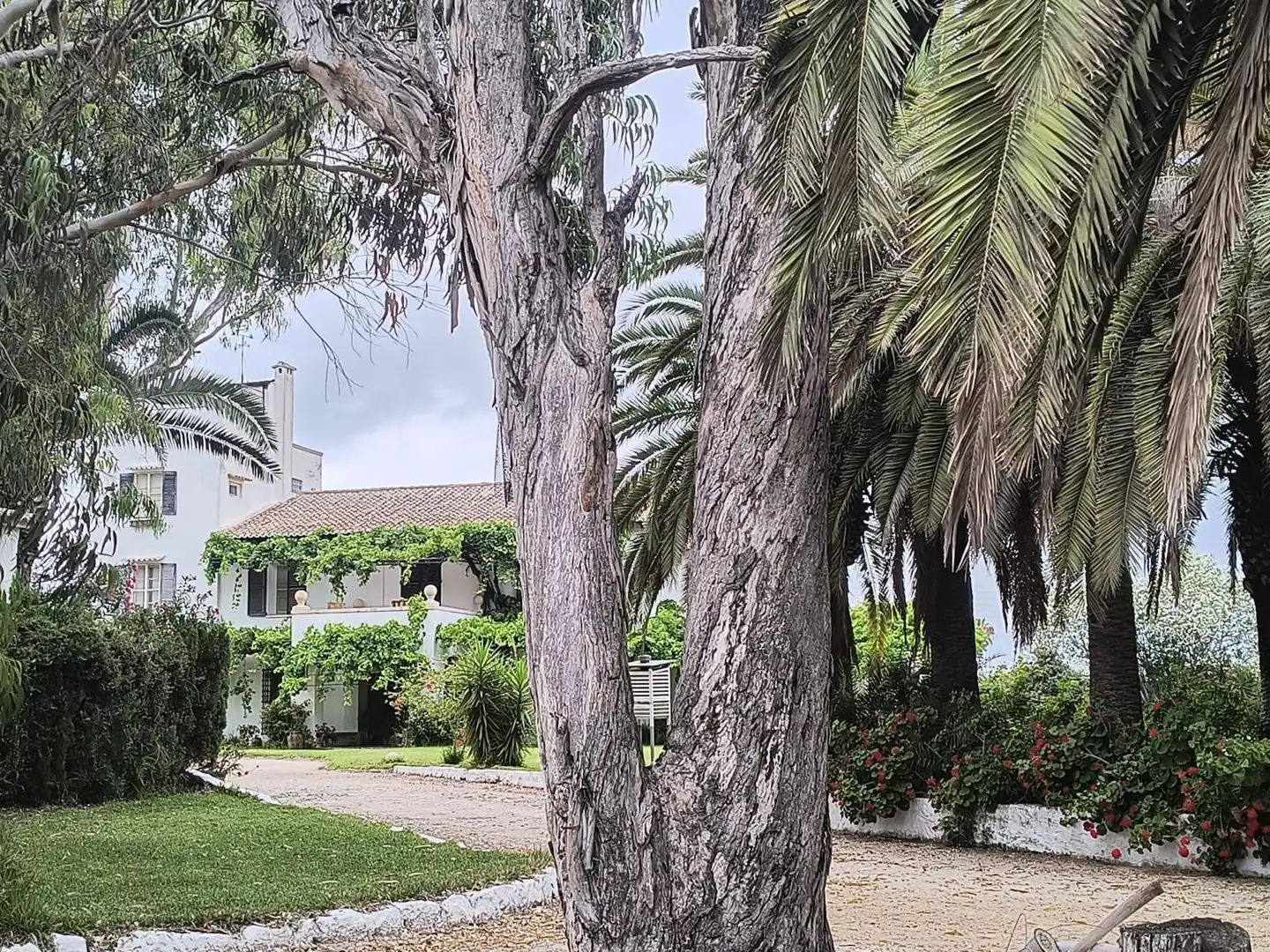 Vista exterior de Finca rústica en venta en Cullera con Calefacción, Jardín privado y Terraza
