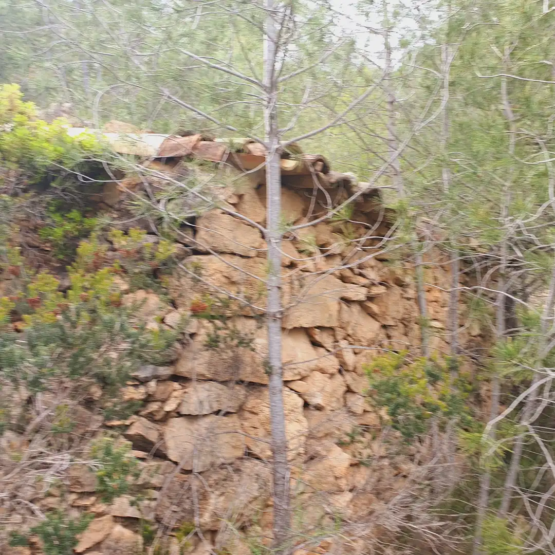 Terrain rustique à vendre à Benifallet, imagen 34