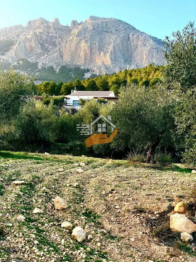 Lands and plots for sale in Vélez-Rubio, imagen 21