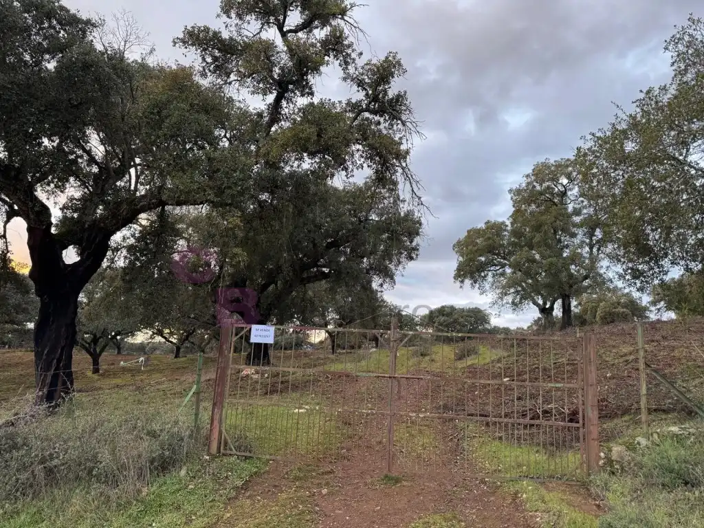 Casa o xalet en venda a Calle Cuesta de Artesanos, Valdesalor - Rincón de Ballesteros