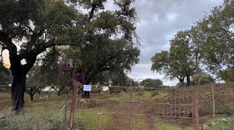 Foto 4 de Casa o xalet en venda a Calle Cuesta de Artesanos, Valdesalor - Rincón de Ballesteros, Cáceres Capital