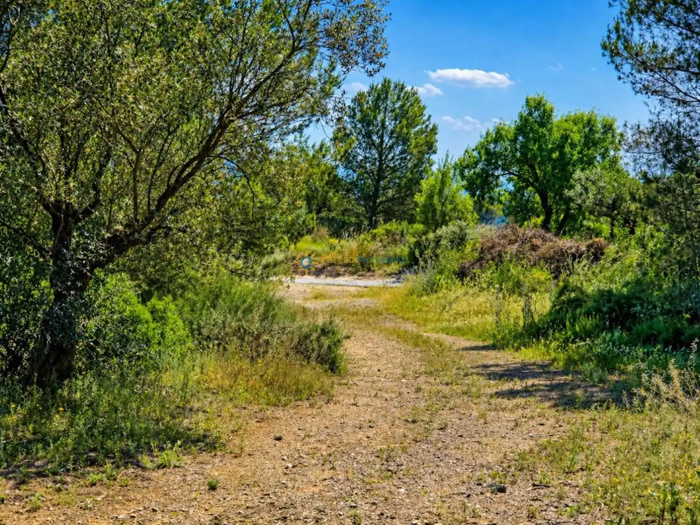 Terreno en venta en Bellús