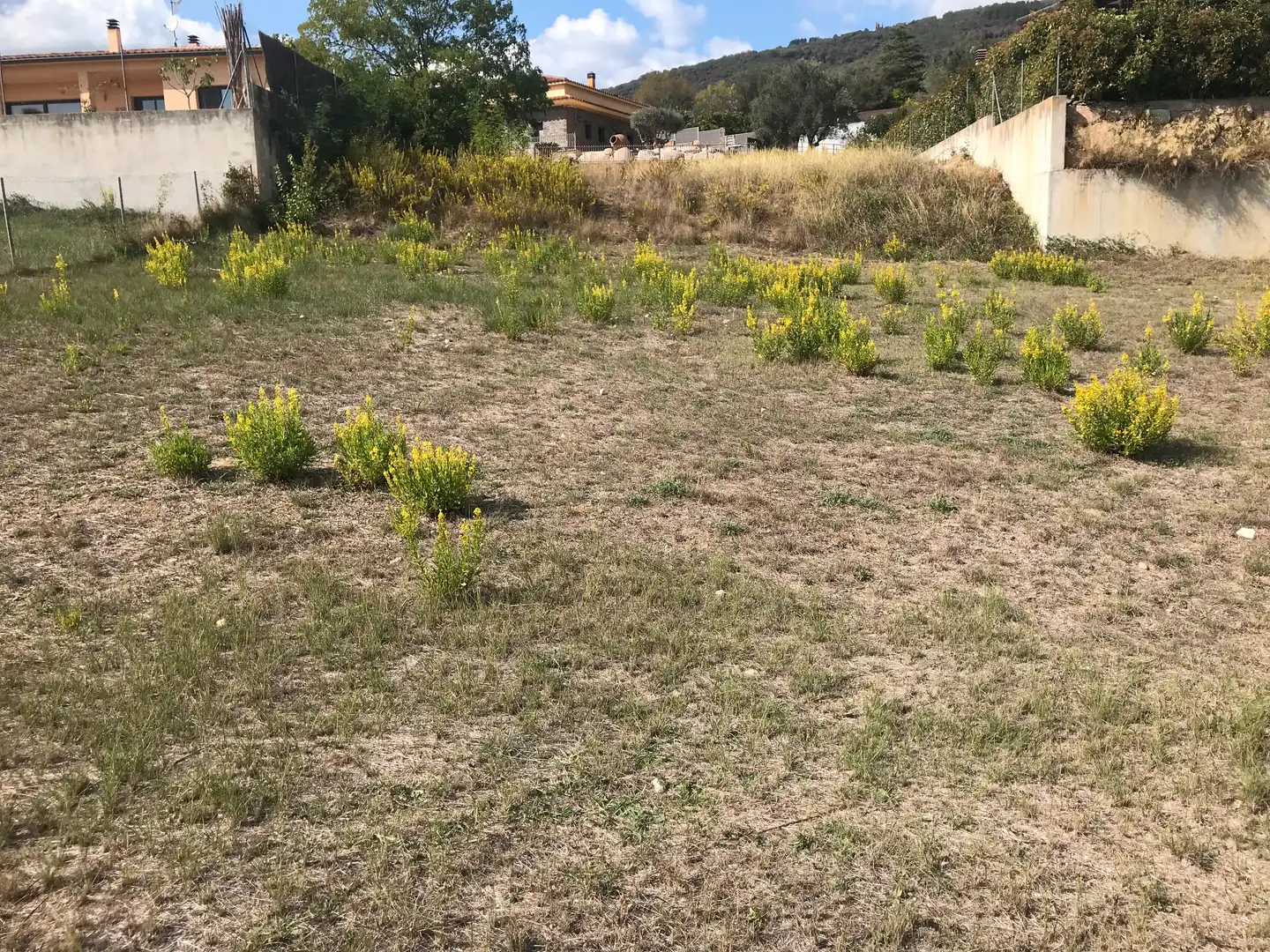 Wohnbaugrundstück zum Verkauf in Carrer del Serrat, imagen 5