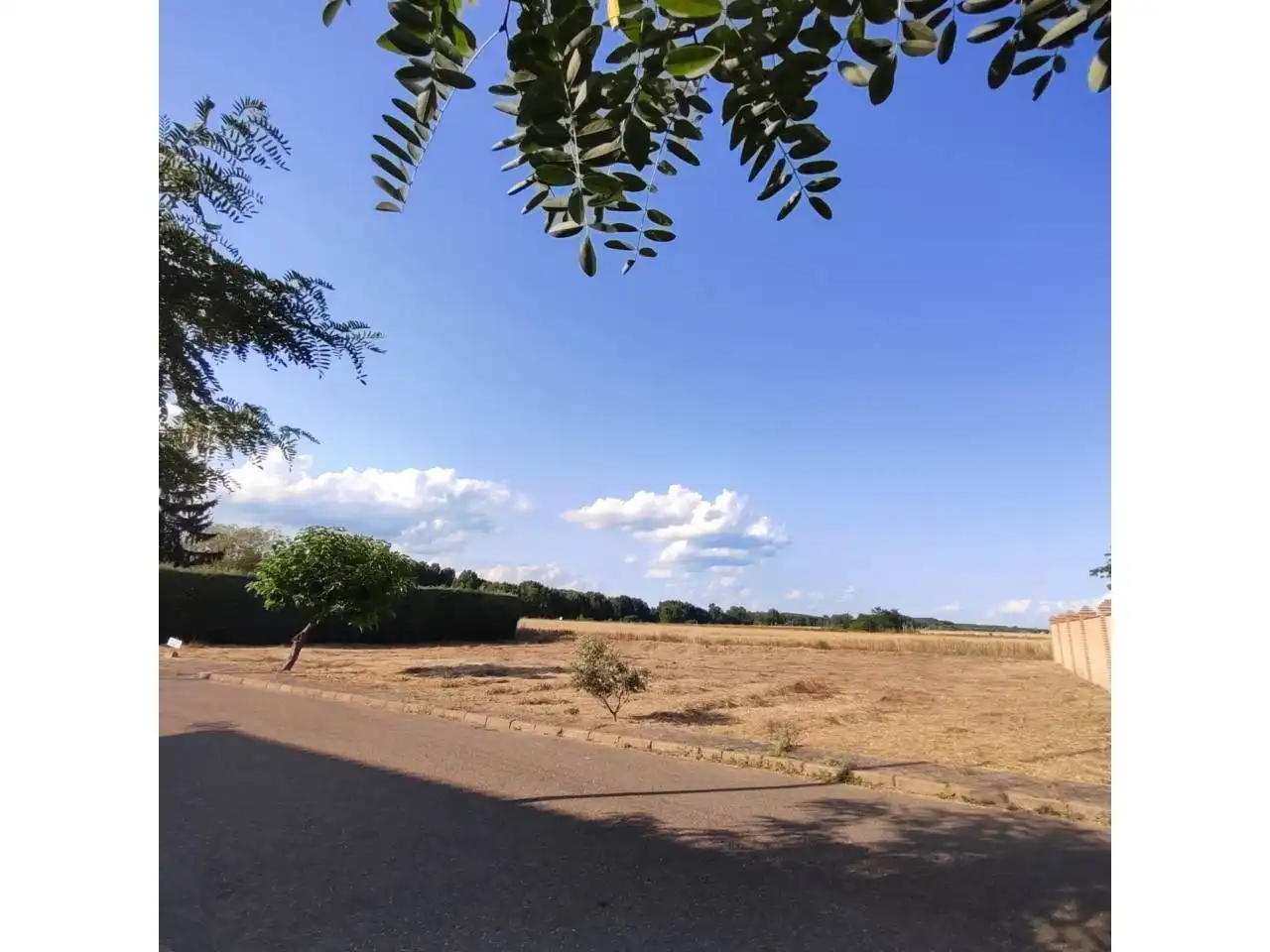 Terreni e lotti in vendita a Llanos, imagen 7
