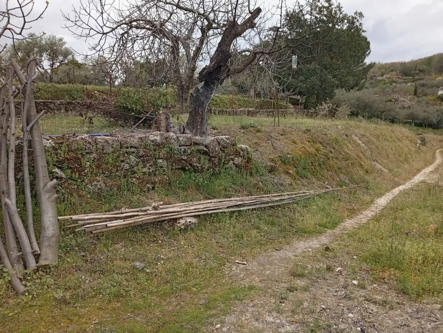 Terreni e lotti in vendita a Villanueva de la Vera, imagen 47