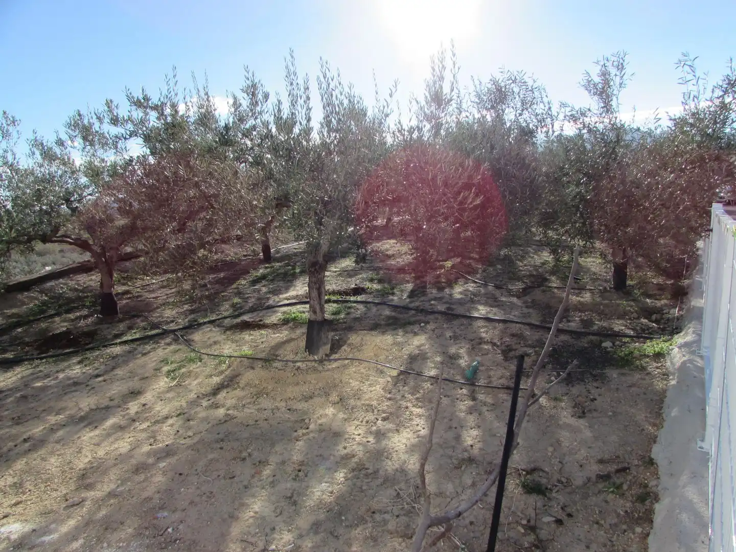 Country homes for sale in Los Gallardos  with Air Conditioner, Heating and Terrace