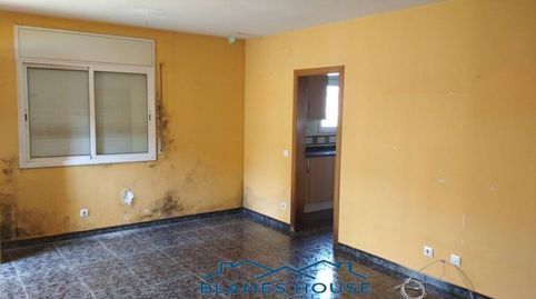 Foto 4 de Casa o xalet en venda a Calle del Pi, 38, Maçanet de la Selva pueblo, Maçanet de la Selva