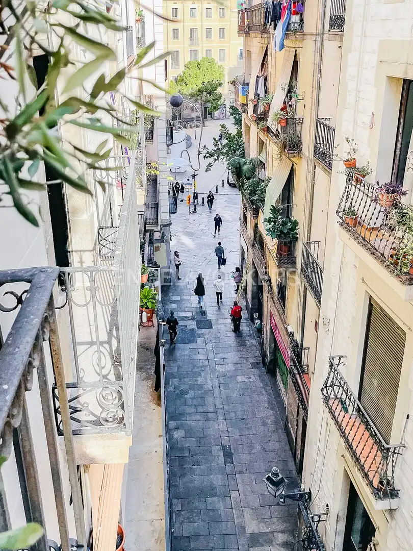 Flat for sale in Ciutat Vella, imagen 41