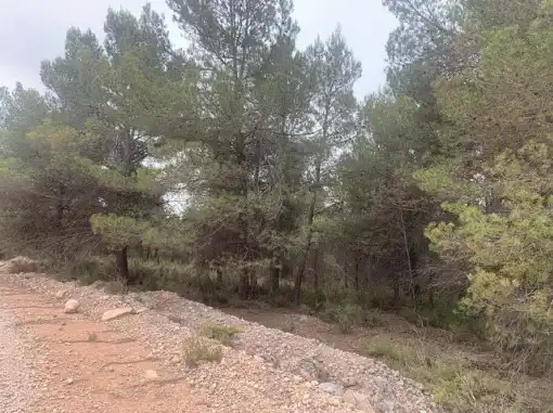 Rustikales Grundstück zum Verkauf in Paraje Fuentecil, imagen 7