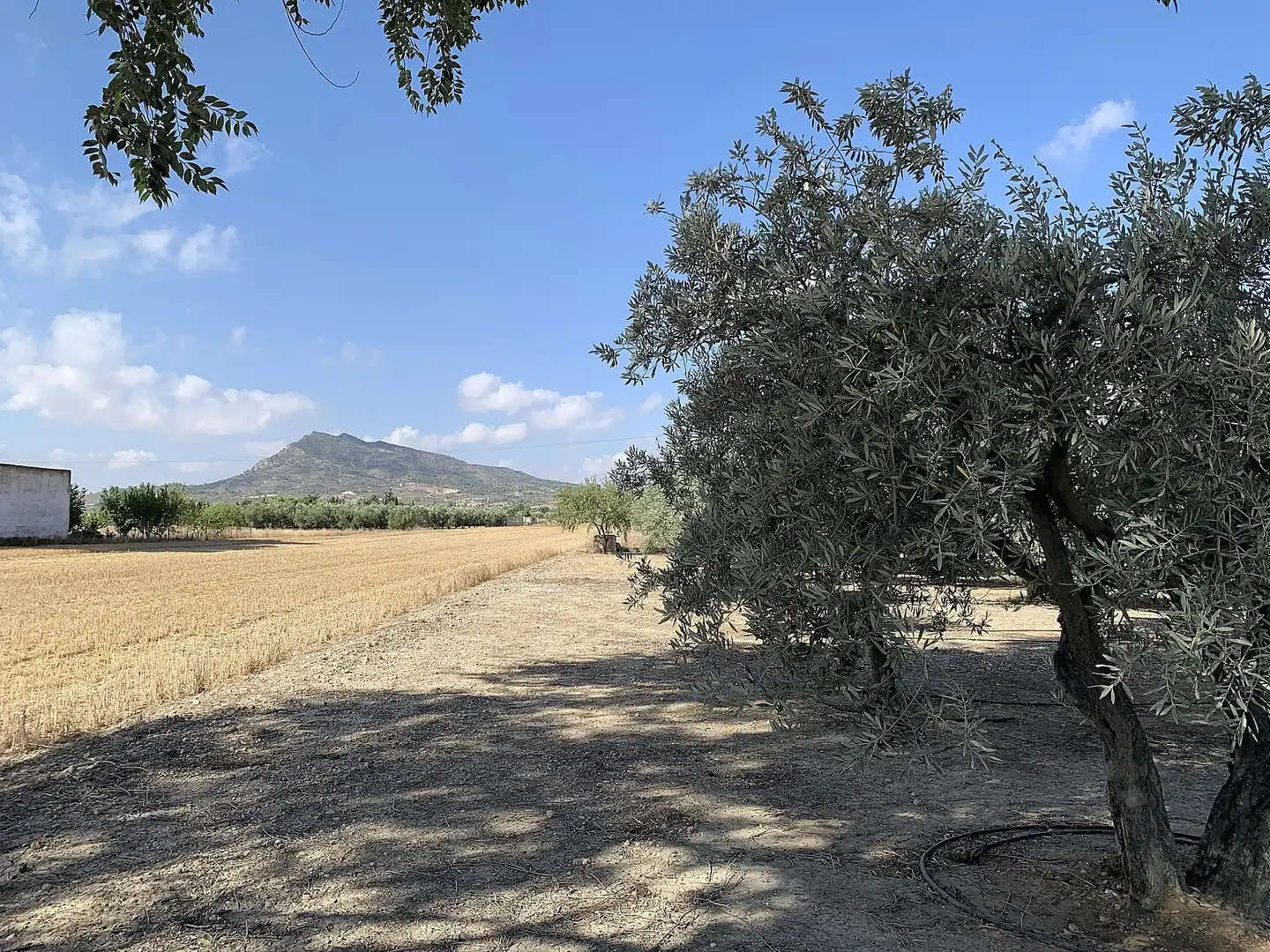 Finca rústica en venda en Caudete