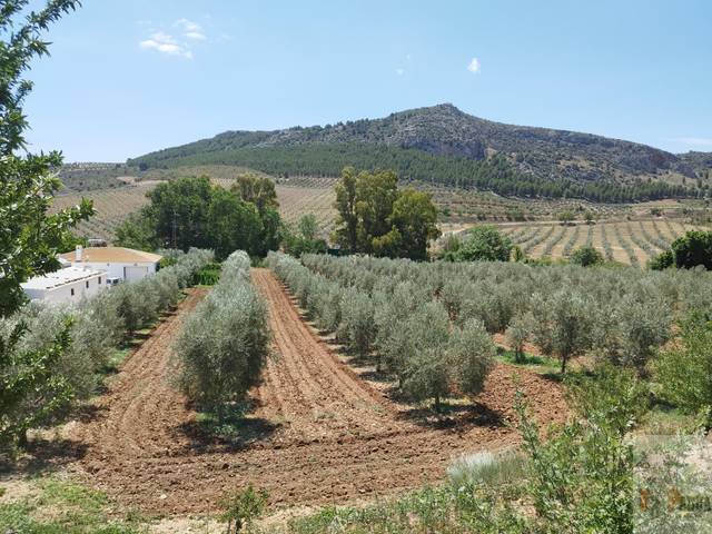 Casa-chalet en Venta en Teba