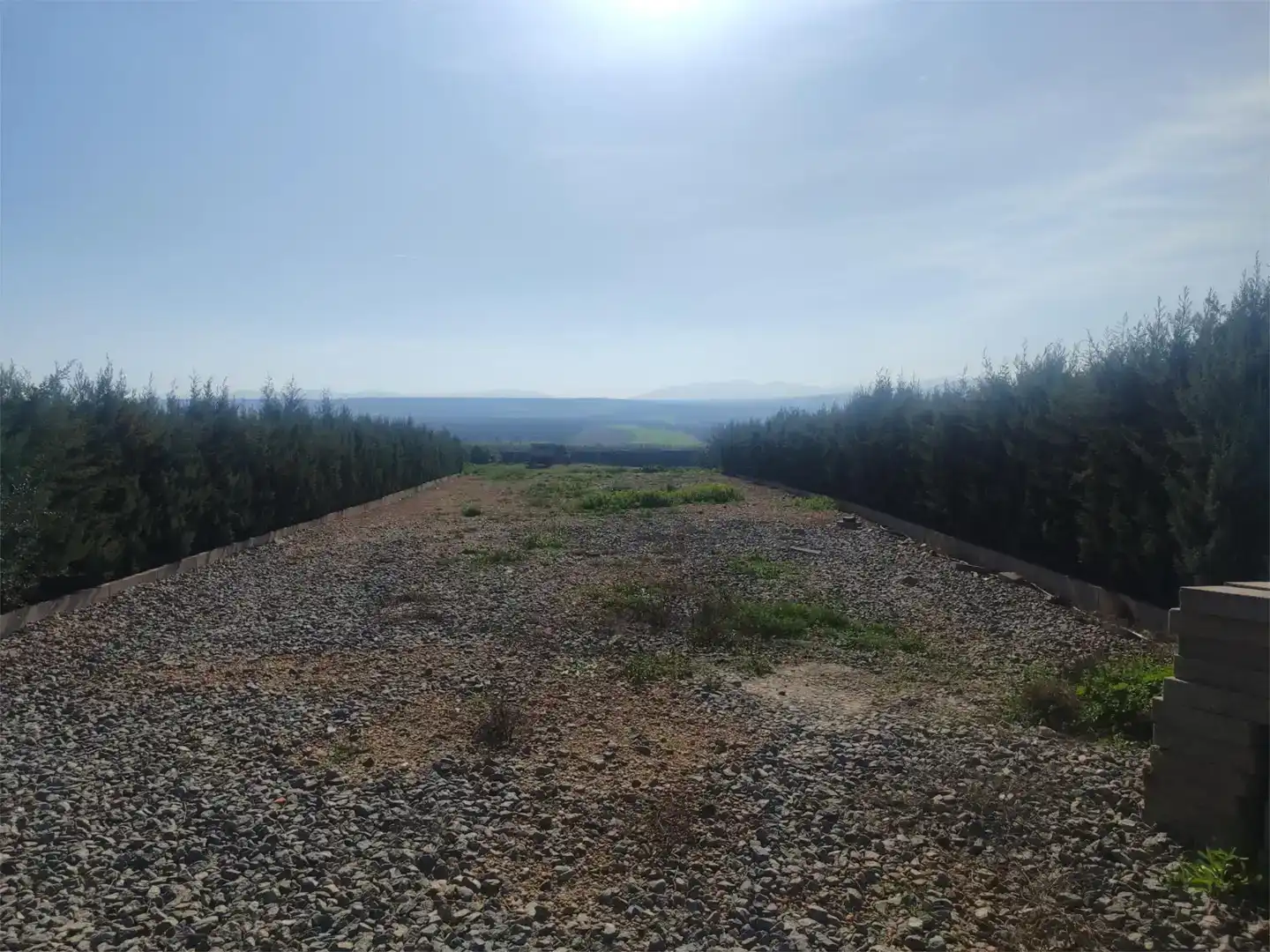 Land for sale in Guareña