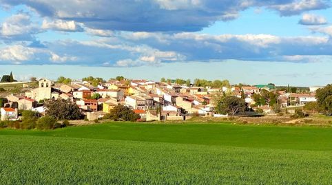 FINCAS RÚSTICAS DE SECANO EN VALDEAVELLANO, EN PLENA ALCARRIA