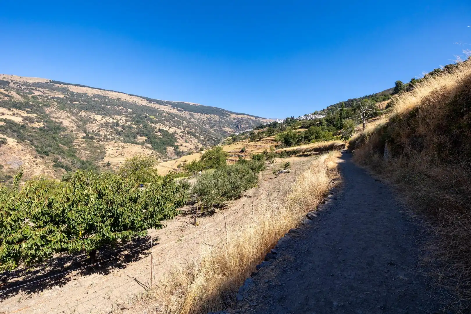 Rural land for sale in Polígono 3 Parcela 19 JARILA. BUBION (GRANADA), imagen 6