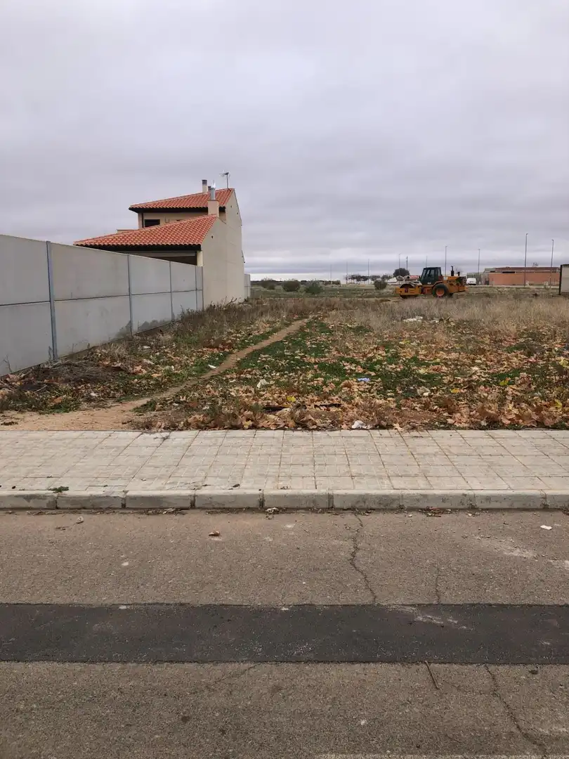 Terrenos y solares en venta en Carrión de Calatrava, imagen 2