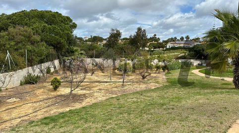Chalet en Pinares de Lepe, imagen 5