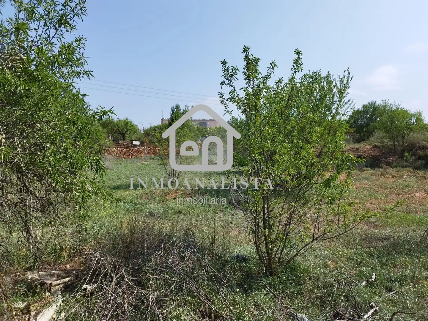 Rural land for sale in E-901, imagen 5