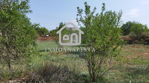 Parcela rustica en Polígono  El  Romeral de Requena, immagine 5