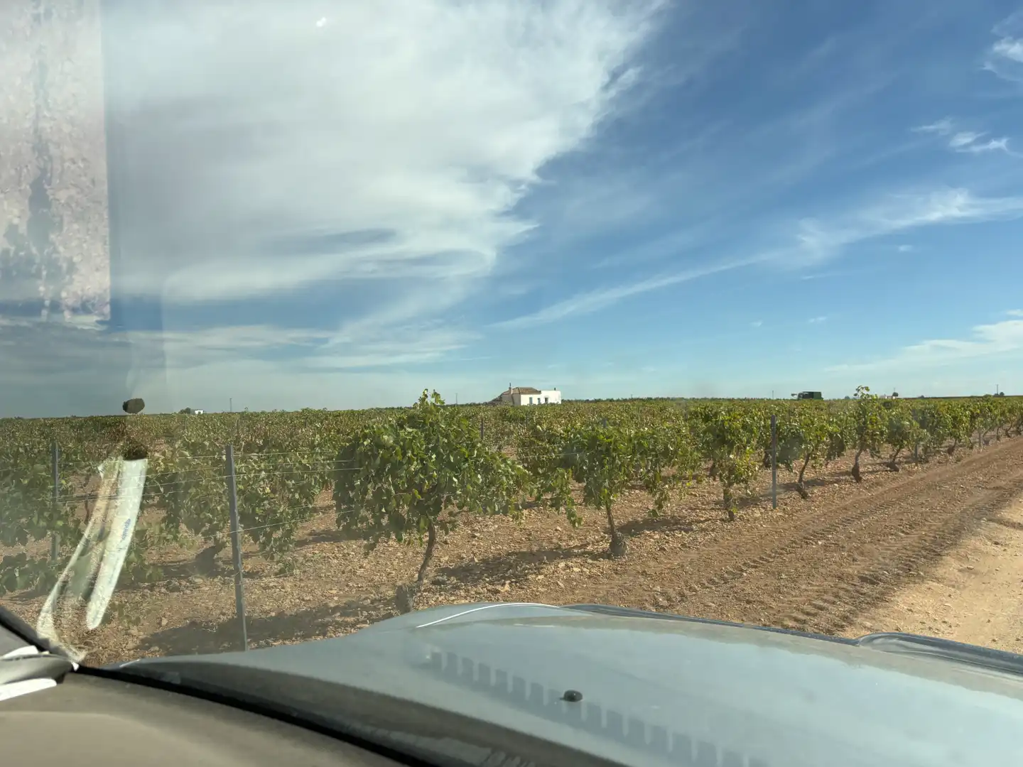 Rural land for sale in CM-400 580, imagen 43
