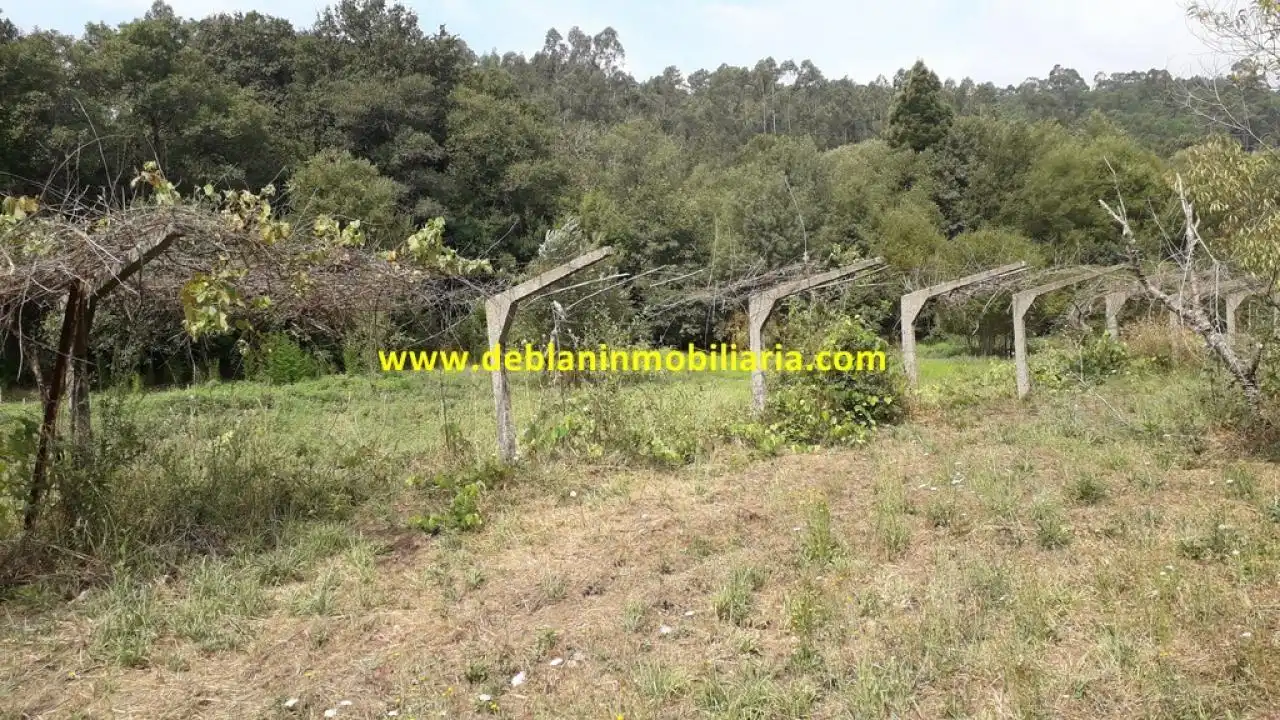 Terreno rustico in vendita a Tomiño, imagen 4