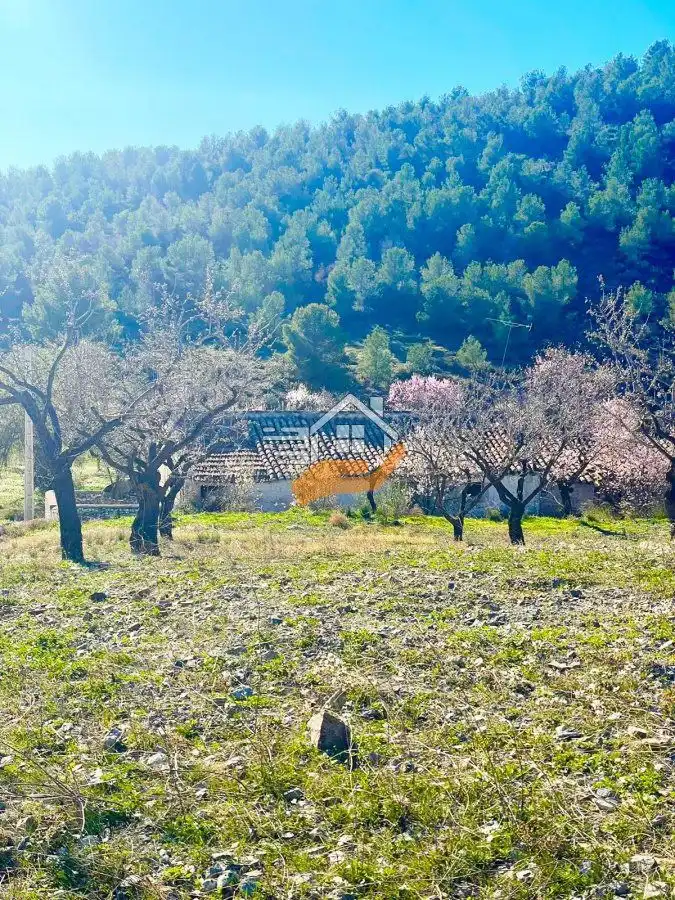 Casa rústica en venda a Vélez-Rubio, imagen 8