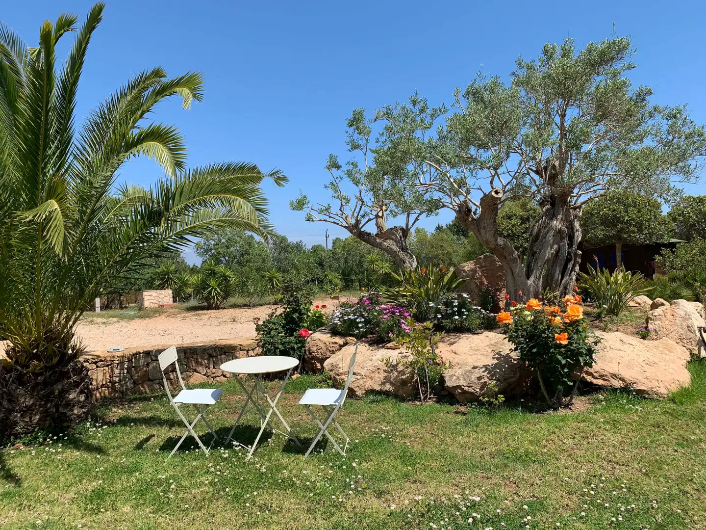 Jardí de Casa o xalet en venda en Formentera amb Aire condicionat, Calefacció i Jardí privat