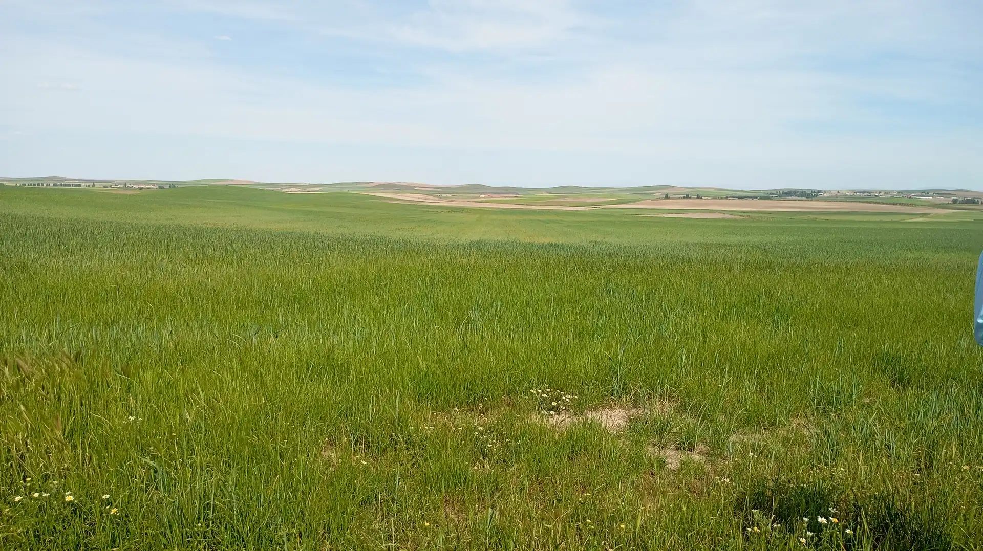 Land for sale in Calle Iglesia, Cantaracillo
