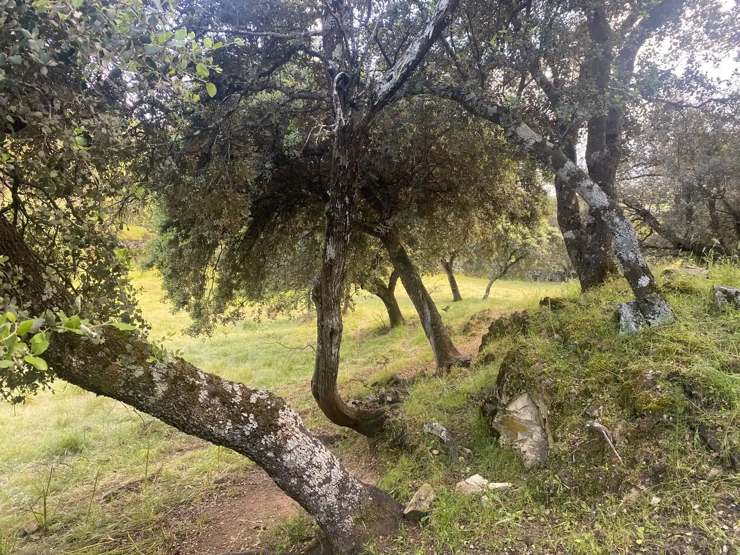 Vista exterior de Finca rústica en venta en El Real de San Vicente con Aire acondicionado, Calefacción y Terraza