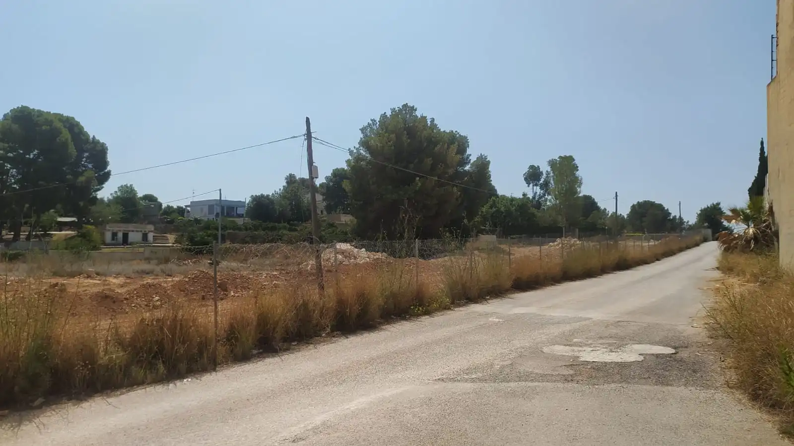 Terreno rustico in vendita a Campolivar