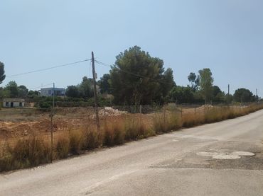 Rural land for sale in Campolivar