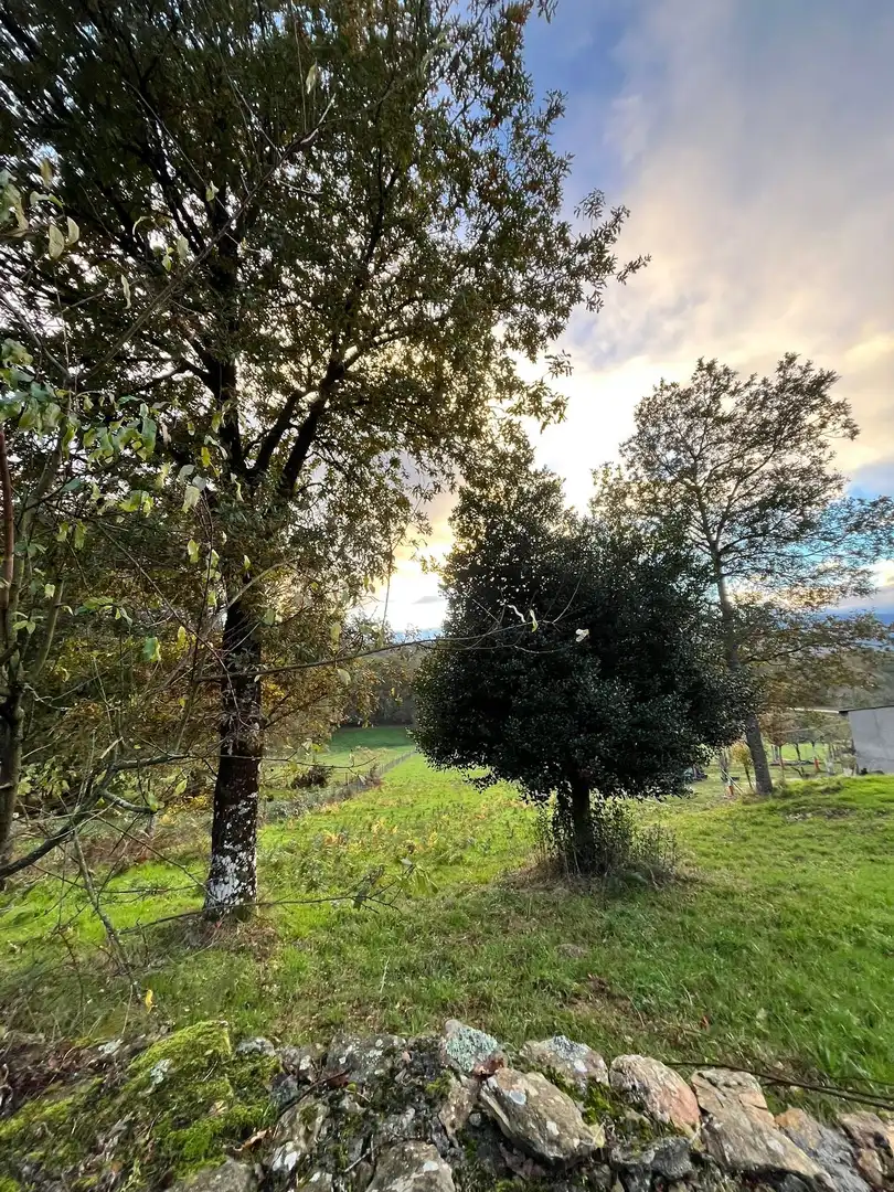 Terrenys i solars en venda a Lalín, imagen 7