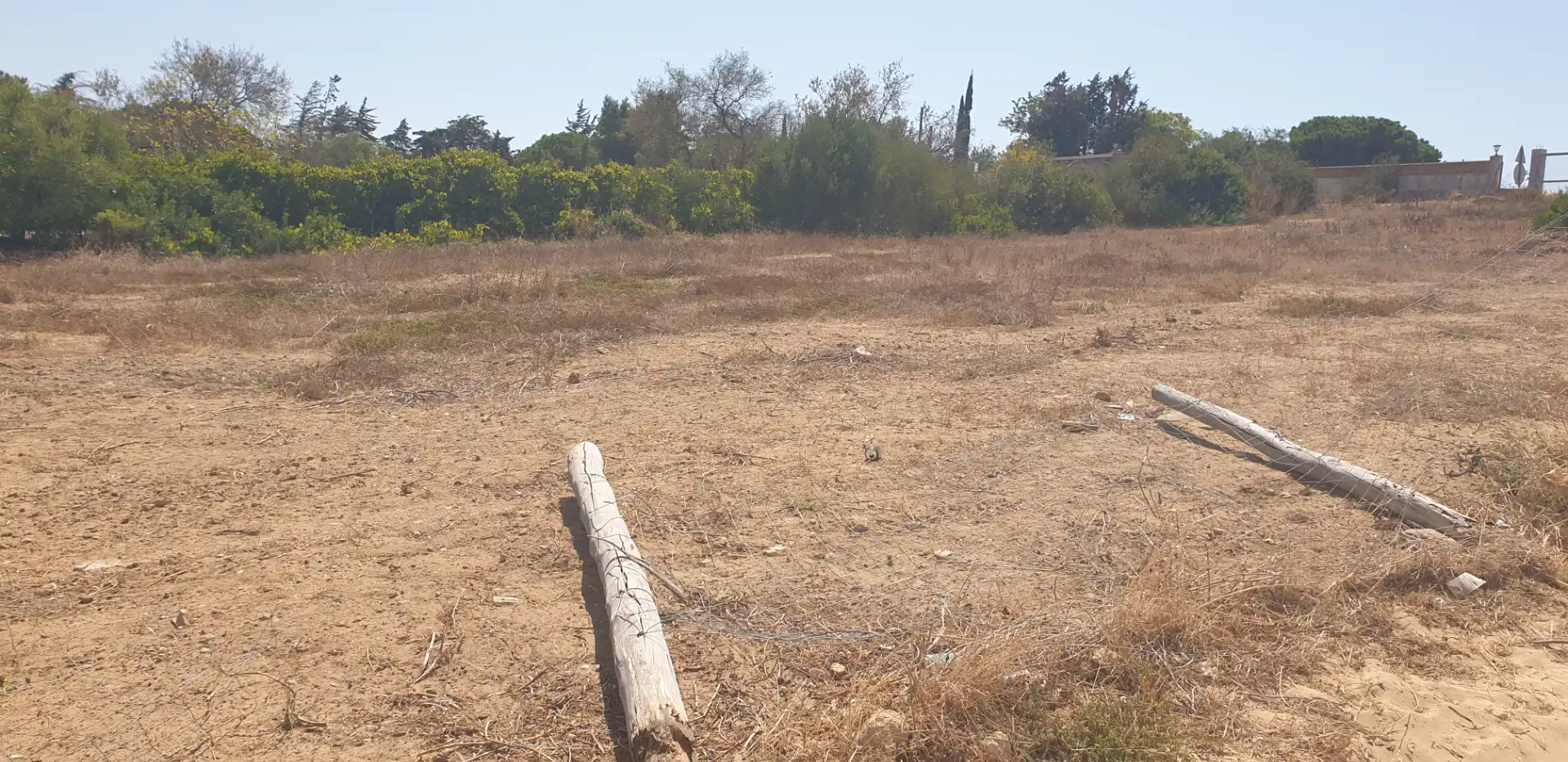 Terreny rústic en venda a Las Lagunas - Campano, imagen 5
