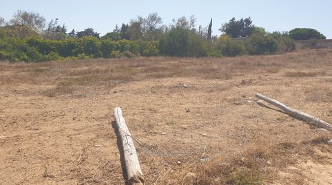 Parcela Registrada, imatge 5