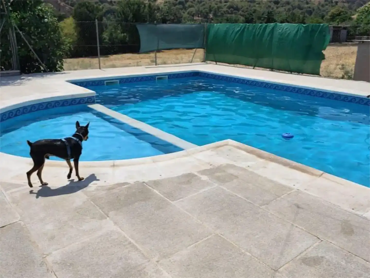 Piscina de Finca rústica en venda en Granada amb Jardí privat, Traster i Piscina