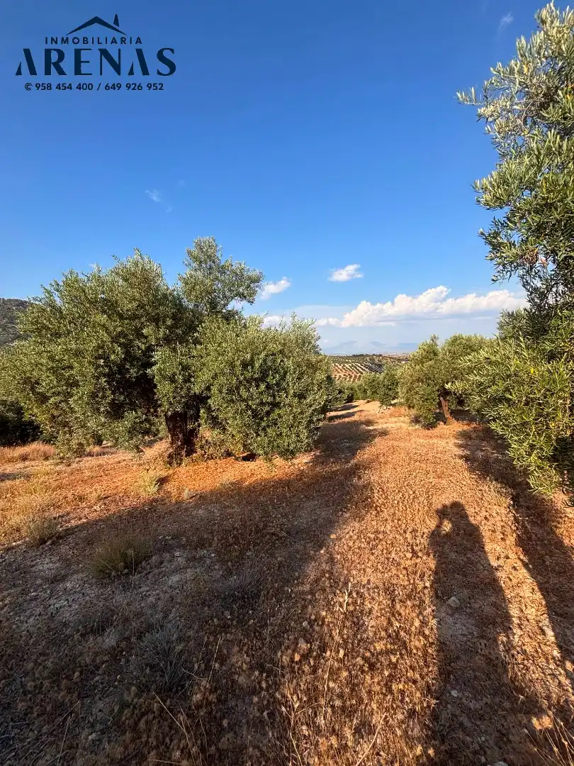 Rustikales Grundstück zum Verkauf in Carretera Montefrío, imagen 7
