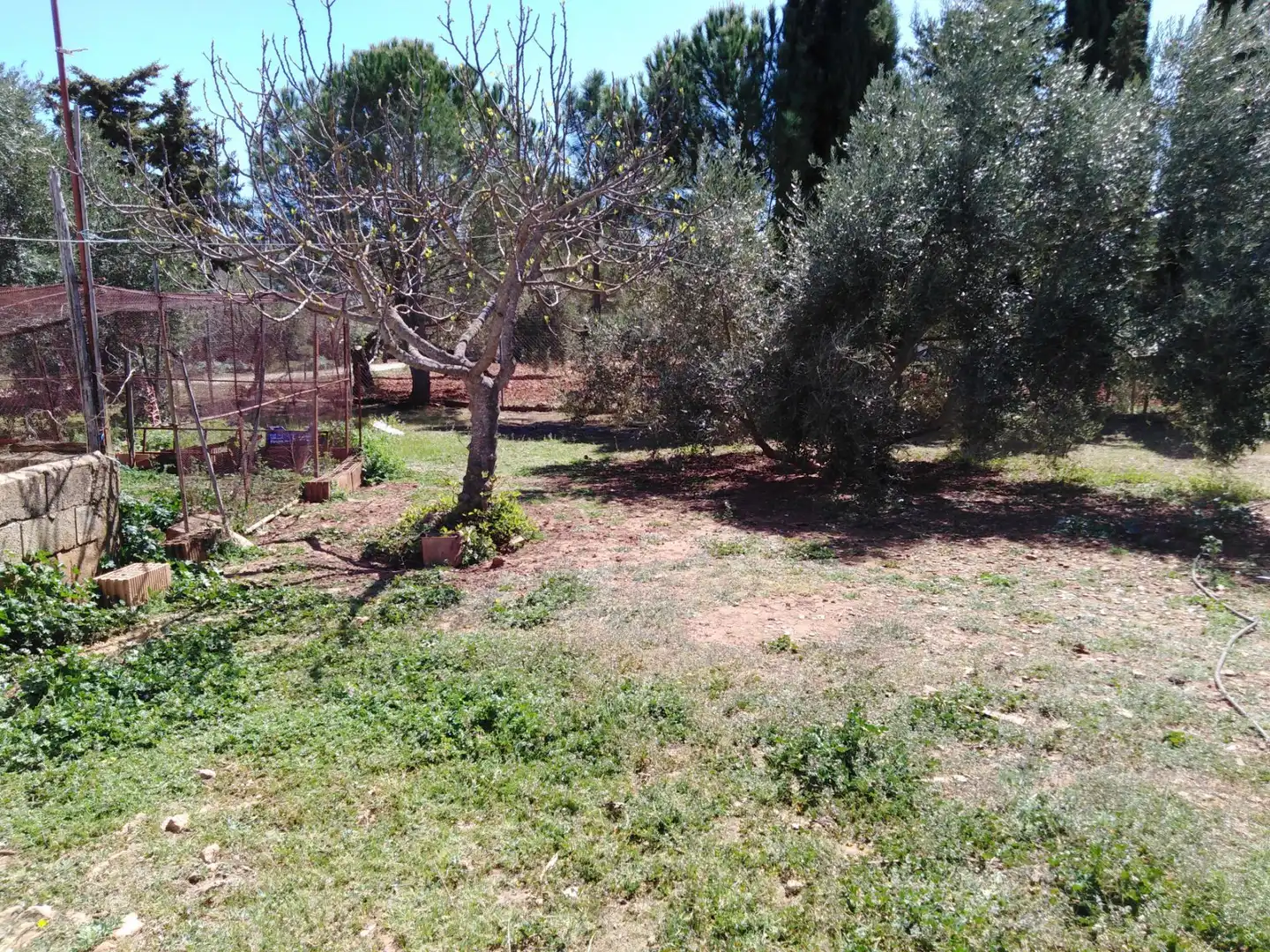Casa rústica amb piscina en venda a Partidas Norte, imagen 24