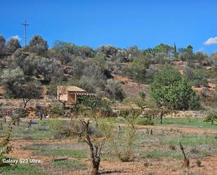 Finca rústica en venda en Sant Joan de Moró