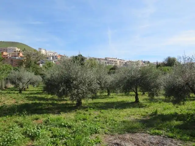 Vista exterior de Terreno en venta en Cenes de la Vega