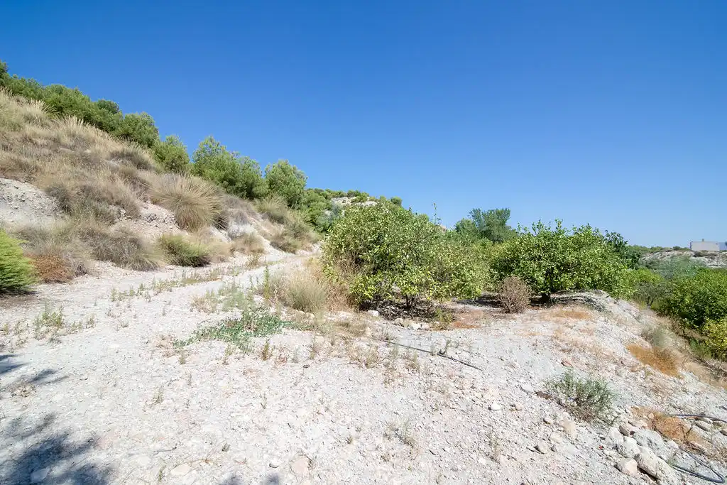 Lands and plots for sale in Paraje del Tale, imagen 13