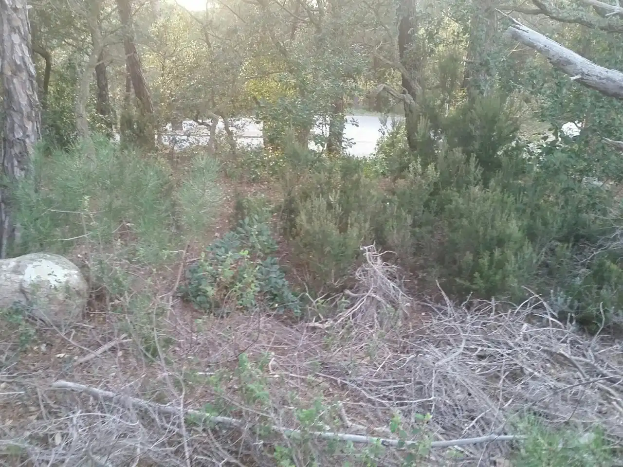 Terrenos y solares en venta en Serra Brava, imagen 4